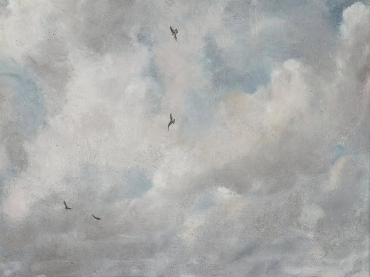 antique-sky-landscape-prints:-vintage-cloud-wall-art