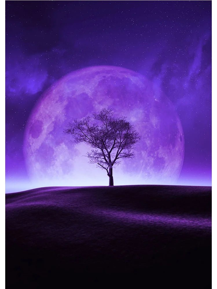 Colorful Space Astronaut Moon Poster Canvas Wall Art